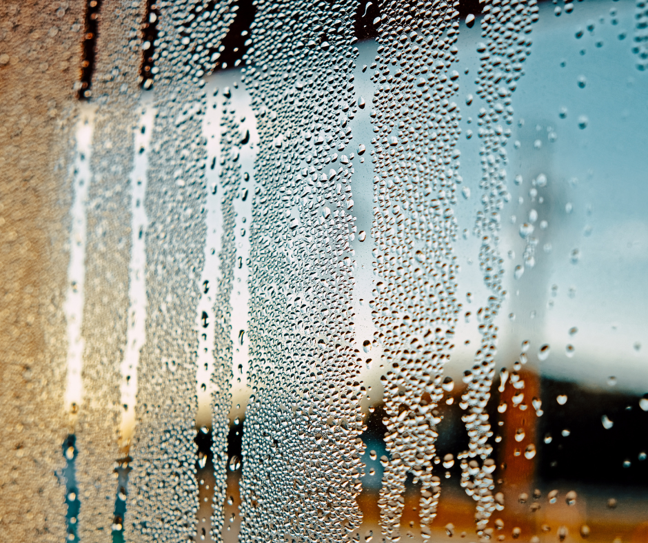 Vidar Ejendomme | Duggede ruder – sådan undgår du dem