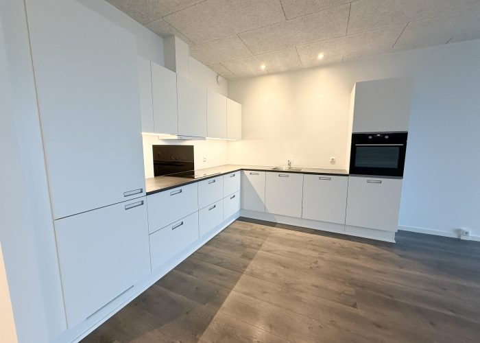 Kornparken 68, 1. tv (1)