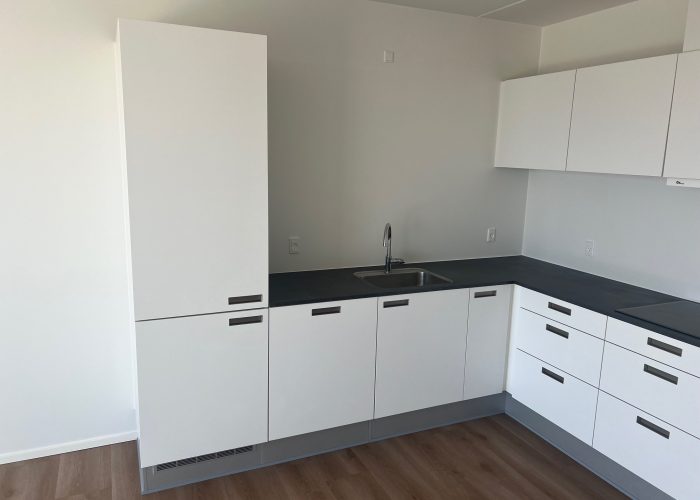 Schaubparken 22, 3. 6 - Køkken